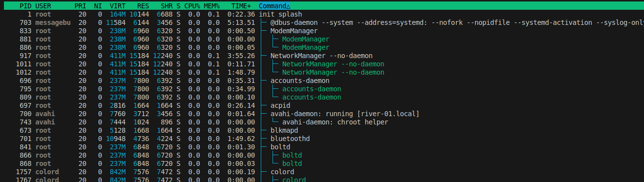 Processes in Computer