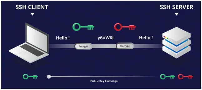 Processes in Computer